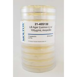 21-40S130, LB Agar w/100ug Ampicillin, Plated Agar, 20 ml/plate, Culture Media, Moltox