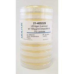 21-40S329, LB Agar w/ Amp & Lactose, Plated Agar, 20 ml/plate, Culture Media, Moltox