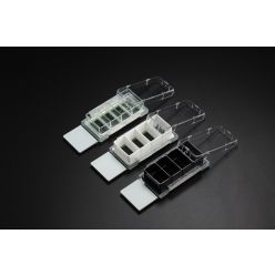 Nest 230104 Cell Culture Chamber Slide, 4 Clear Chambers, Glass Slide, Sterile (12 Slides/Case) 