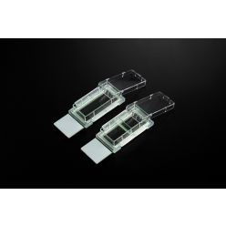 Nest 230112 Cell Culture Chamber Slide, 2 Black Chambers, Glass Slide, Sterile (12 Slides/Case) 