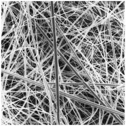 Cytiva 66227 A/D Glass Fiber Filter, 8" x 10", 25/pk