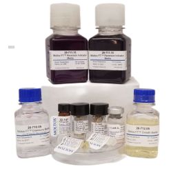 Moltox 31-302 MOLTOX® FT™ E. coli Mutagenicity Test Kit (Kit)