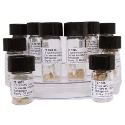 Moltox 32-71001F Salmonella Typhimurium TA Mix Cells (1 ea)