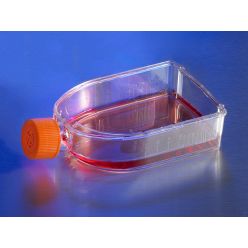 Corning 3290 Corning® CellBIND® 75cm² U-Shaped Canted Neck Cell Culture Flask with Vent Cap