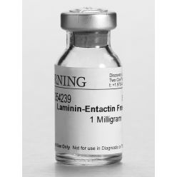 Corning 354239 Corning® Ultrapure Laminin, Mouse, 1 mg