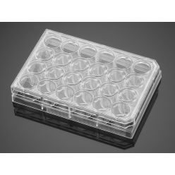 Corning 354723 Corning® PureCoat™ Amine 24-well Plate, 5/Case