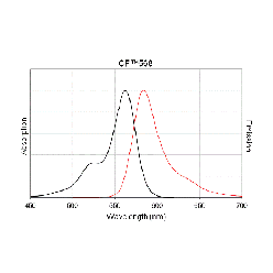 Biotium CF568-dCTP Structural Formula 