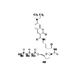 Biotium DEAC-dUTP Structural Formula 