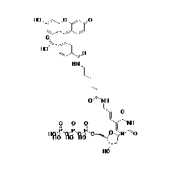 Biotium Fluorescein-12-dP Structural Formula 