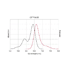 Biotium CF640R-dCTP Structural Formula 