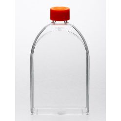 Corning® 150cm² U-Shaped Canted Neck Not Treated Cell Culture Flask with Vent Cap