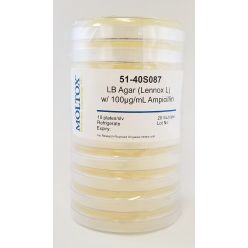 51-40S087, LB Agar w/100ug/ml Ampicillin, Plated Agar, 20 ml/plate, Culture Media, Moltox
