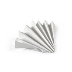 Cytiva 10334607 Qualitative Filter Paper, Grade 0860 1/2, Sheet (Non-Pleated), 140mm x 190mm, 500/pk