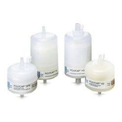 Cytiva 2603T Capsule Filter, Whatman Polycap TF 36, 1.0µm Pore Size, PTFE, FNPT Inlet, FNPT Outlet, 5/pk