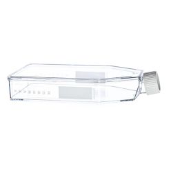 CELL CULTURE FLASK, 550 ML, 175 CM², PS, Clear, CELLSTAR®, Cell Repellent Surface, White Filter Screw Cap, Sterile