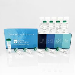 Azura HS Taq Polymerase 5000 units