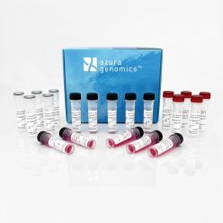 Azura Mouse Genotyping Kit 400 Reactions