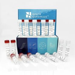 AzuraQuant cDNA Synthesis Kit 500 Reactions