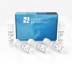 AzuraQuant Green Fast qPCR Mix HiRox 500 Reactions