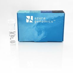 AzuraQuant Green Fast qPCR Mix LoRox 100 reactions