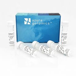 AzuraQuant Green Fast qPCR Mix LoRox 500 Reactions