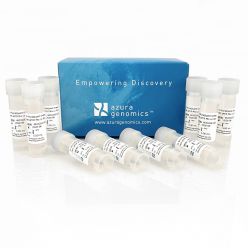 AzuraQuant Green Fast qPCR Mix LoRox 5000 reactions