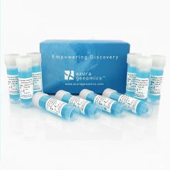 AzuraView GreenFast qPCR Blue Mix LR 5,000 Reactions