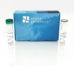 AzuraQuant II cDNA Synthesis Kit 25 Reactions