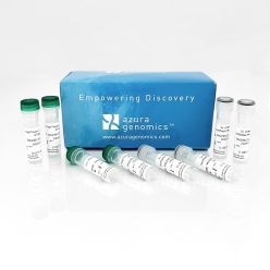 AzuraQuant II cDNA Synthesis Kit 100 Reactions
