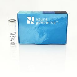 AzuraView Probe Fast qPCR Mix Colorless 100 reactions