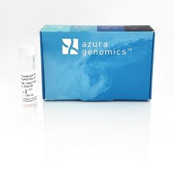 AzuraQuant Probe Fast qPCR Mix HiRox 100 reactions