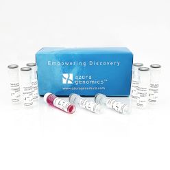 Flash-Extract PCR Kit 100 reactions