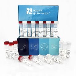 AzuraQuant Green 1-Step qRT-PCR Kit HiRox 1,000 reactions