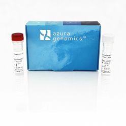 AzuraQuant Green 1-Step qRT-PCR Kit LoRox 100 reactions