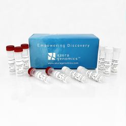 AzuraQuant Green 1-Step qPCR Mix LoRox 500 Reactions