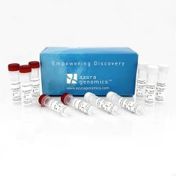 AzuraQuant Probe 1-Step qRT-PCR Kit LoRox 500 reactions