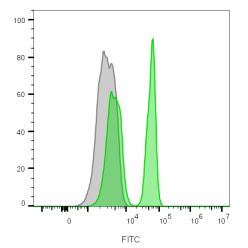 CD4(C4/206), CF405M conjugate, 0.1mg/mL