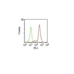 CD11c(HC1/1), CF640R conjugate, 0.1mg/mL