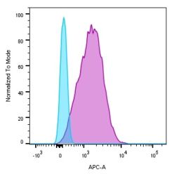 CD45 / LCA(136-4B5), CF640R conjugate, 0.1mg/mL