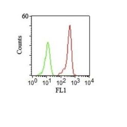 CD46(122.2), CF640R conjugate, 0.1mg/mL