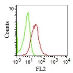 CD1b(RIV12), CF640R conjugate, 0.1mg/mL