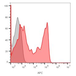 CD8(C8/1035), CF640R conjugate, 0.1mg/mL