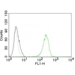 CD71(TFRC/1059), CF640R conjugate, 0.1mg/mL