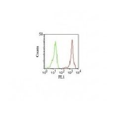 CD11a(Cris-3), CF543 conjugate, 0.1mg/mL