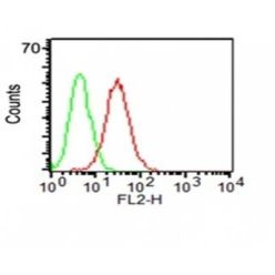 CD34(ICO-115), CF555 conjugate, 0.1mg/mL