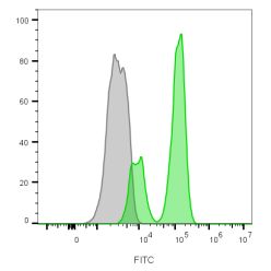 CD3e(B-B12), CF555 conjugate, 0.1mg/mL