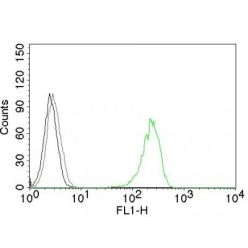 CD71(66IG10), CF568 conjugate, 0.1mg/mL