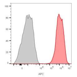 CD81 / TAPA-1 (1.3.3.22),  CF770 conjugate, 0.1mg/mL