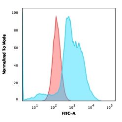 Biotium BNC881788-500, B7-H4 (Immuno-Inhibitory Protein)(B7H4/1788), CF488A conjugate, 0.1mg/mL