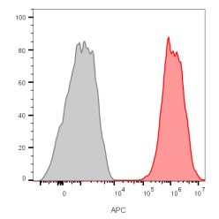 CD81 / TAPA-1 (C81/2885R), CF594 conjugate, 0.1mg/mL